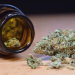 Exploring the Effects of HHC Hemp Flower on Anxiety