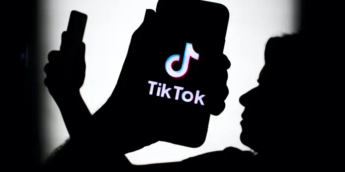 tiktok video downloader
