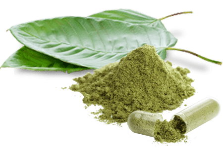 Beginner’s Guide to Understanding Kratom Extract Types and Their Key Differences